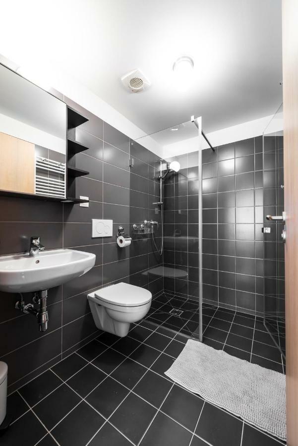 Apartmán se sklípkem Pavlov Esterno foto